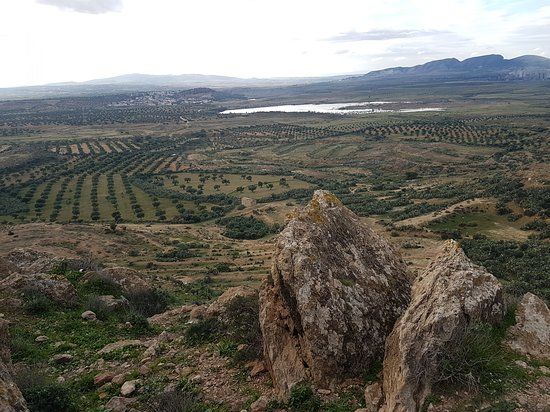 Cimetiere Militaire Francais de Takrouna